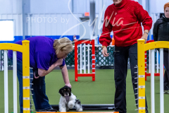 12-8-9-10-Jen-Pinder-277