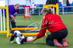 12-8-9-10-Jen-Pinder-283