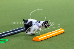 12-8-9-10-Jen-Pinder-285