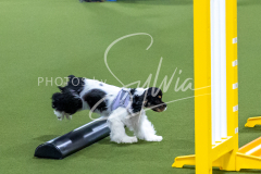 12-8-9-10-Jen-Pinder-286