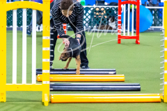 12-8-9-10-Jen-Pinder-295