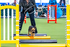 12-8-9-10-Jen-Pinder-296