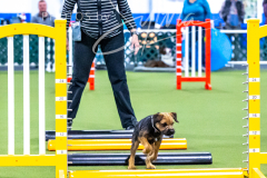 12-8-9-10-Jen-Pinder-297