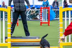 12-8-9-10-Jen-Pinder-298