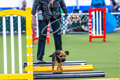 12-8-9-10-Jen-Pinder-302