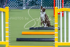 12-8-9-10-Jen-Pinder-309