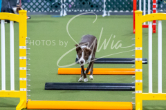 12-8-9-10-Jen-Pinder-311