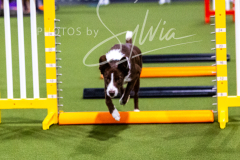 12-8-9-10-Jen-Pinder-313