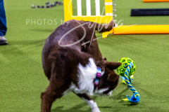 12-8-9-10-Jen-Pinder-314