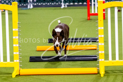 12-8-9-10-Jen-Pinder-317