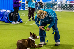 12-8-9-10-Jen-Pinder-319