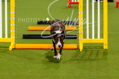 12-8-9-10-Jen-Pinder-321