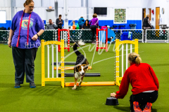 12-8-9-10-Jen-Pinder-329