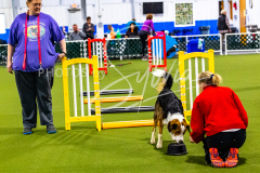 12-8-9-10-Jen-Pinder-330