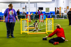 12-8-9-10-Jen-Pinder-331