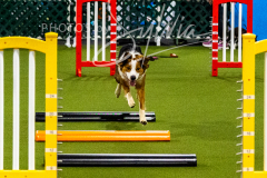 12-8-9-10-Jen-Pinder-335