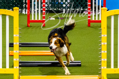 12-8-9-10-Jen-Pinder-336