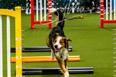 12-8-9-10-Jen-Pinder-339