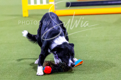 12-8-9-10-Jen-Pinder-350