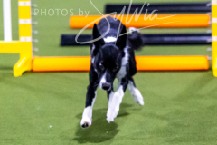 12-8-9-10-Jen-Pinder-351