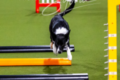 12-8-9-10-Jen-Pinder-352