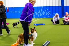 12-8-9-10-Jen-Pinder-354