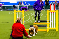 12-8-9-10-Jen-Pinder-363