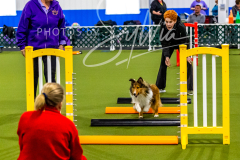 12-8-9-10-Jen-Pinder-368