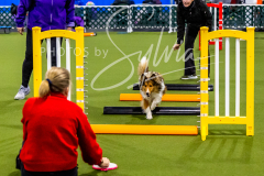 12-8-9-10-Jen-Pinder-369