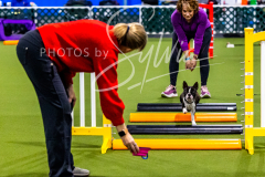 12-8-9-10-Jen-Pinder-374