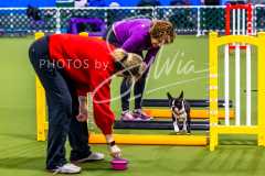 12-8-9-10-Jen-Pinder-379