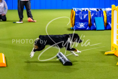 12-8-9-10-Jen-Pinder-386