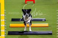 12-8-9-10-Jen-Pinder-387