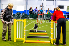 12-8-9-10-Jen-Pinder-391