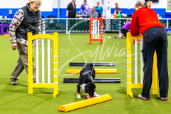 12-8-9-10-Jen-Pinder-396