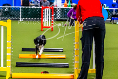 12-8-9-10-Jen-Pinder-397