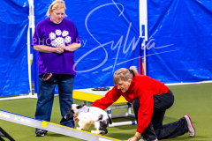 12-8-9-10-Jen-Pinder-401