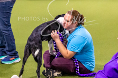 12-8-9-10-Jen-Pinder-409