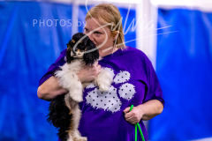 12-8-9-10-Jen-Pinder-415