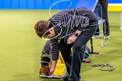 12-8-9-10-Jen-Pinder-420