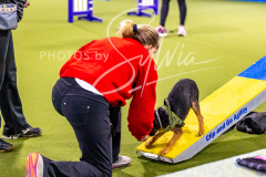 12-8-9-10-Jen-Pinder-426