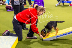 12-8-9-10-Jen-Pinder-428