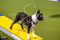 12-8-9-10-Jen-Pinder-451