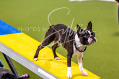 12-8-9-10-Jen-Pinder-452