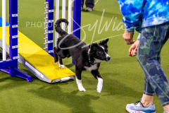 12-8-9-10-Jen-Pinder-468