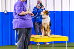 12-8-9-10-Jen-Pinder-485