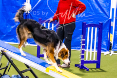 12-8-9-10-Jen-Pinder-490