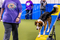 12-8-9-10-Jen-Pinder-494