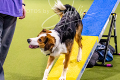 12-8-9-10-Jen-Pinder-495