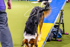 12-8-9-10-Jen-Pinder-496